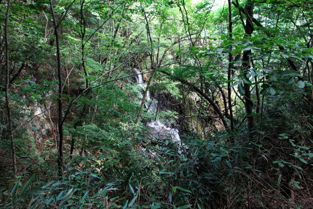 1308篠平の滝